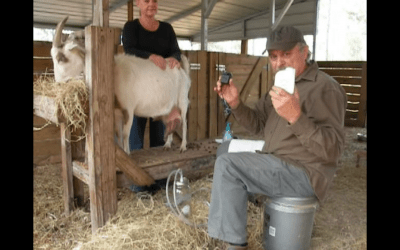 Off Grid Milking Kit
