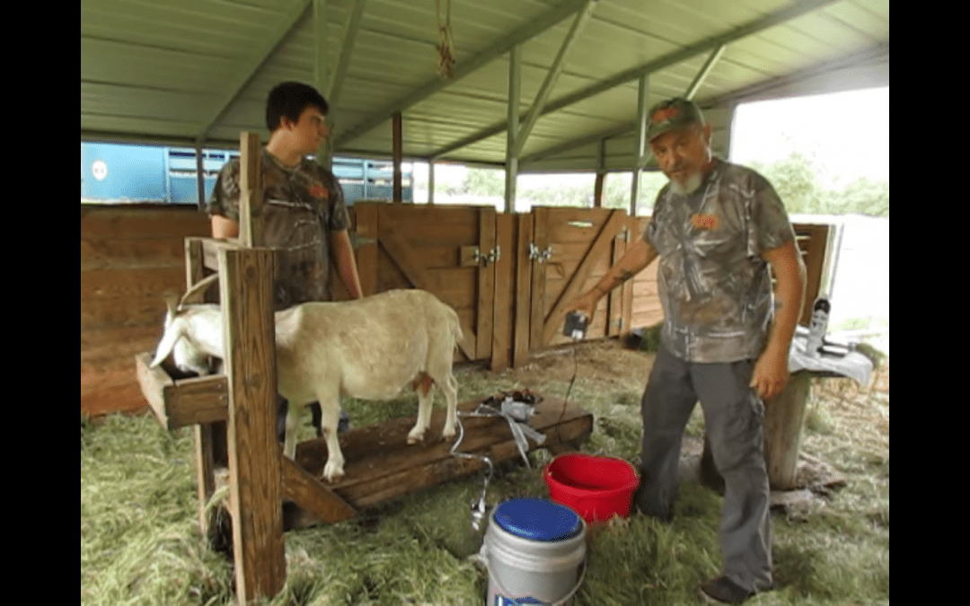 Off Grid Pro Milking Kit