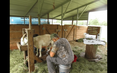 Frontier Milking Kit With Battery Pack