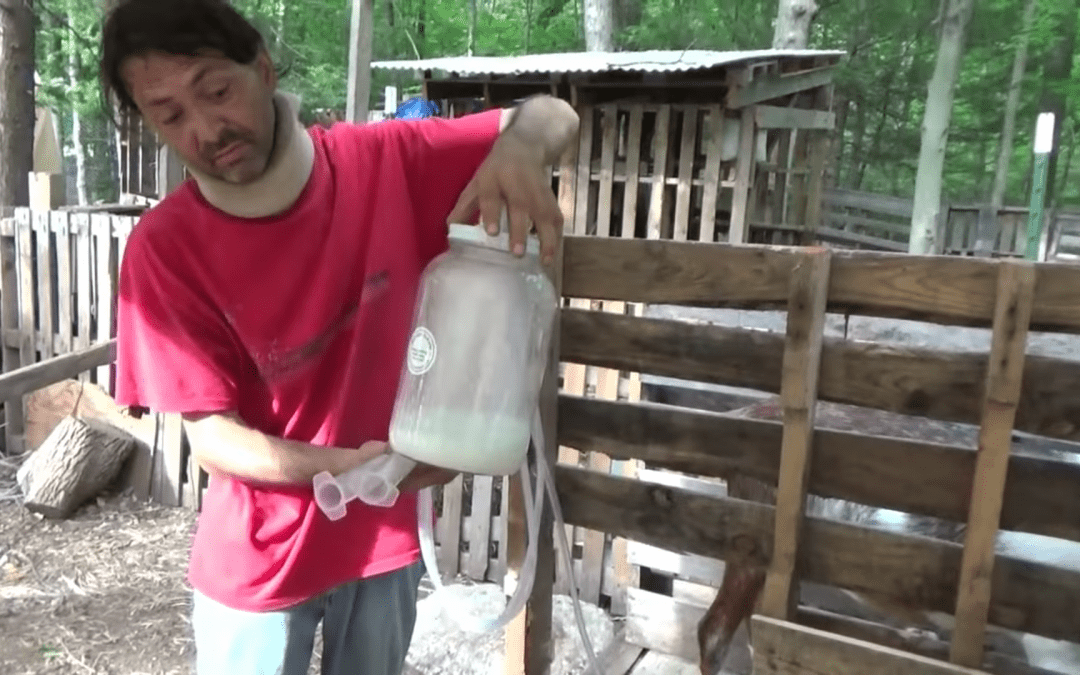 The New Frontier Milk Machine Customer Review Video