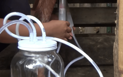 Our New Frontier Milk Machine Makes Milking Easy Customer Review Video